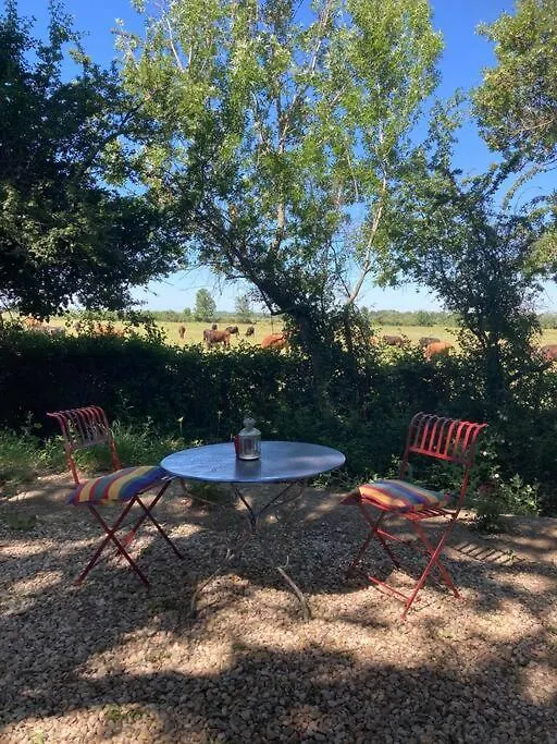 Authentique Roulotte En Camargue Hotel Arles