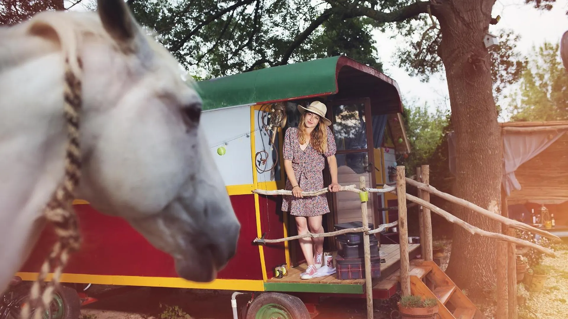 Authentique Roulotte En Camargue contacts